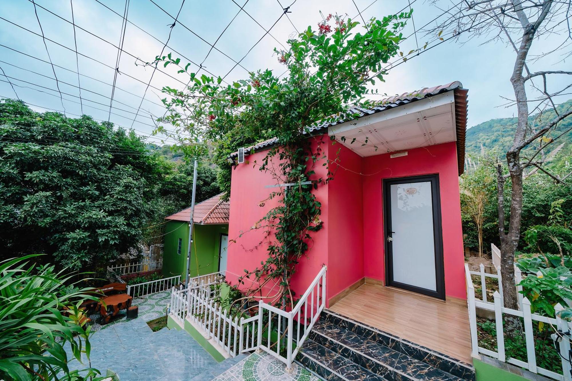 Windy Homestay Cat Ba Island Екстер'єр фото